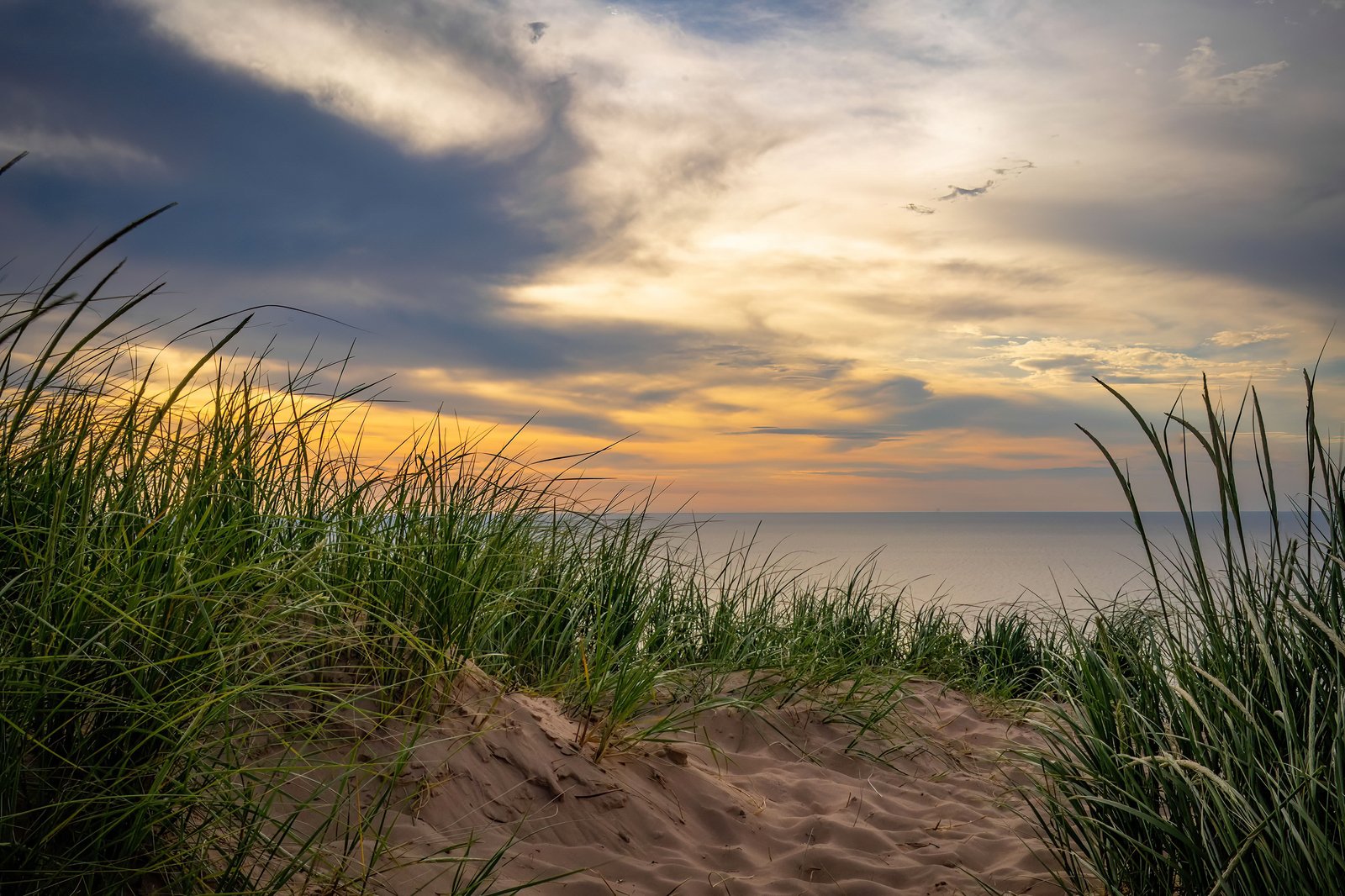 Lake Michigan Dunes