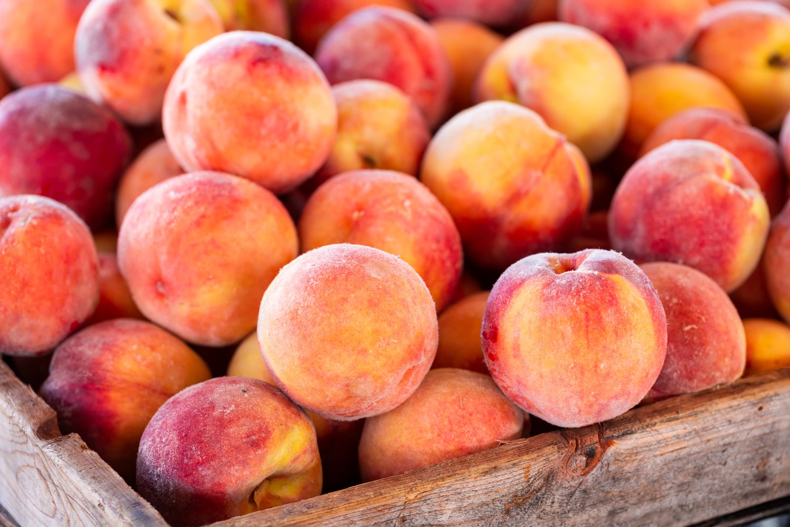 Fresh Peaches